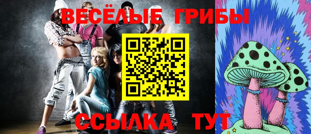 Галлюциногенные грибы прущие грибы  Вход с VPN  Богородск  купить  цена  Галлюциногенные грибы прущие грибы 