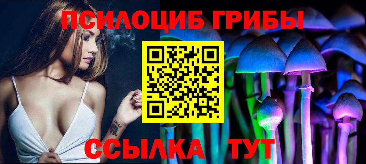 Галлюциногенные грибы Cubensis Богородск